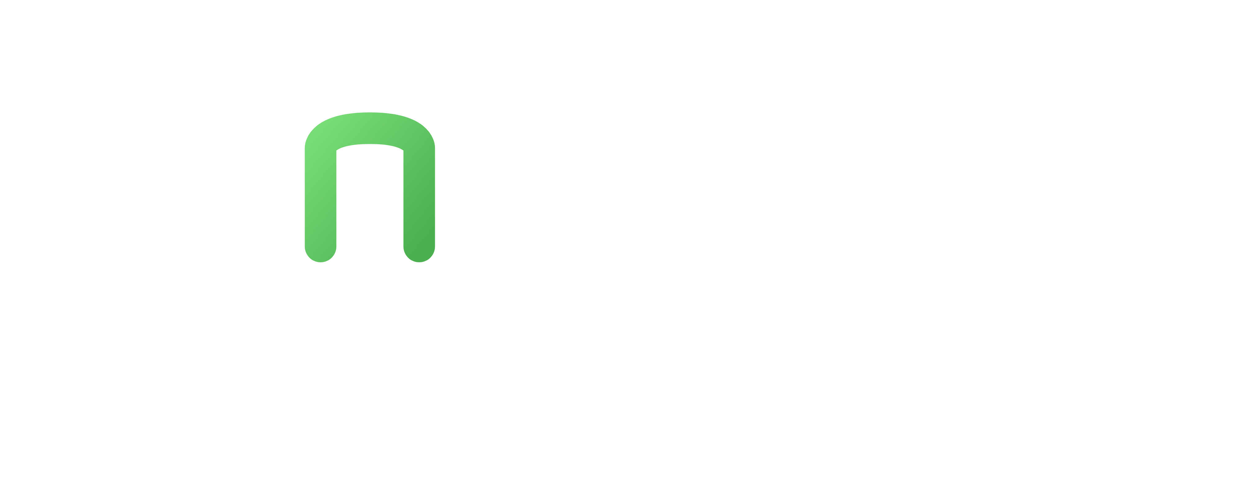 Nexio Logo